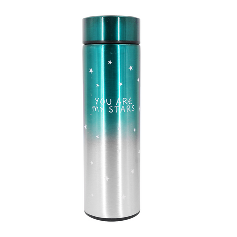TERMO TEMPERATURA 500ML VTR 385