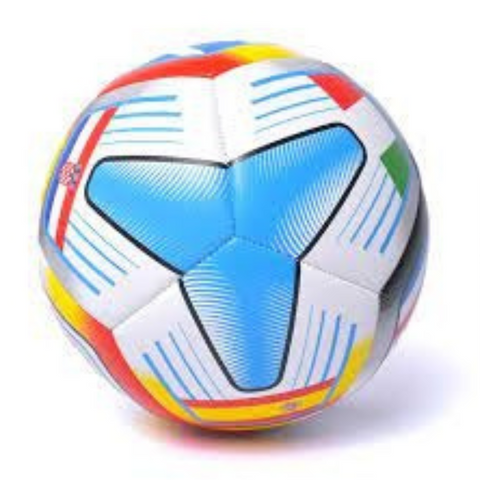 Balon Futbol Golty Euronova Cosido #5 T678034