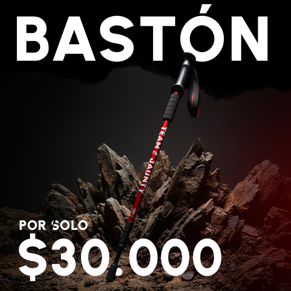 BASTÓN HIKING VTR-1412