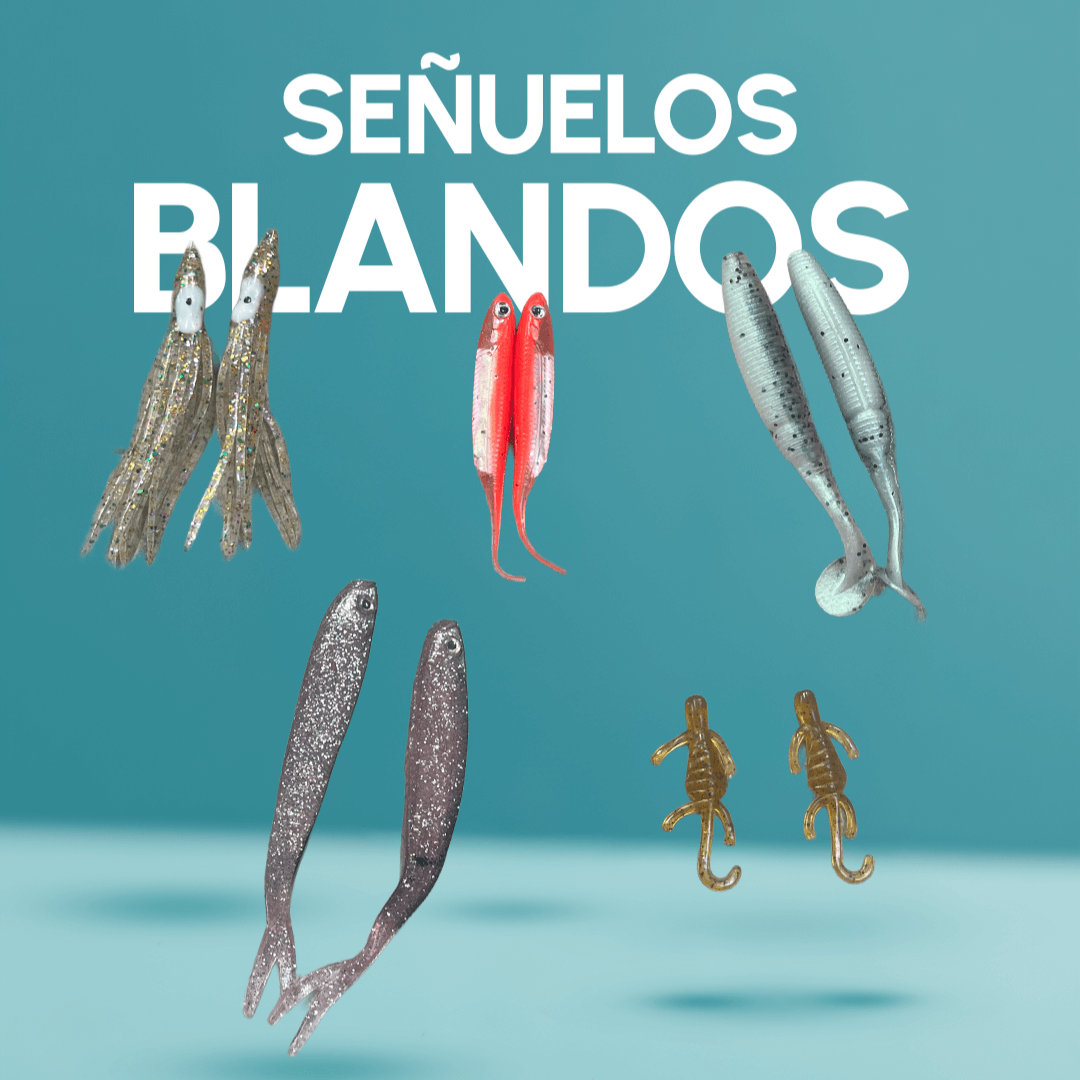 KIT PESCA Y ACCESORIOS