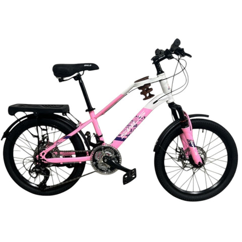 BICICLETA RIN 20 VTR-1134