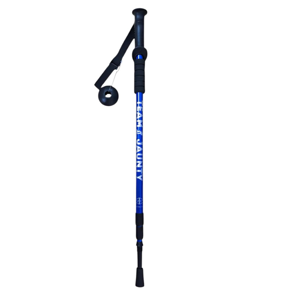 BASTÓN HIKING VTR-1412