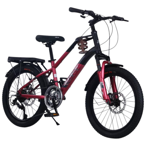 BICICLETA RIN 20 VTR-1134